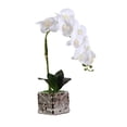 thumbnail image 1 of Matsuzay Orquídea de imitación Flor artificial Decoración de jardín Baño Plástico Maceta Toque Arreglo falso Calcomanía para el hogar Jarrón de Decoración del hogar Blanco Matsuzay HA084030-04, 1 of 6