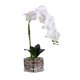 thumbnail image 1 of Orquídea de imitación Flor artificial Decoración de jardín Baño Plástico Maceta Toque Arreglo falso Jarrón de Decoración del hogar Blanco Yuarrent HA084030-04, 1 of 6