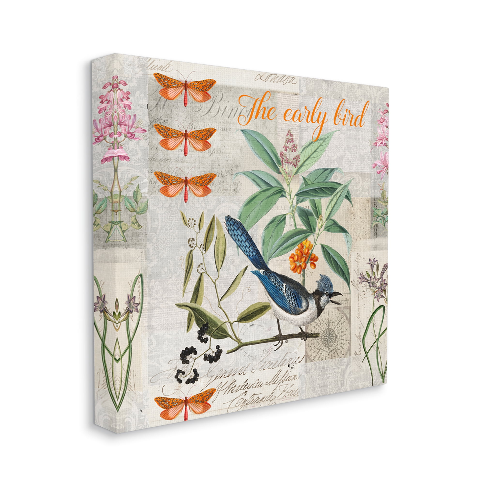 Stupell Industries Early Bird Vintage Nature Animals & Insects Painting Gallery Wrapped Canvas Art Print Wall Art, 17 x 17