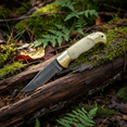 thumbnail image 5 of SANZ Knife – 3.75\" Closed, Damascus Steel Blade, Stag Handle, Brass Bolsters, Filework Design, 5 of 6