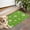 Green Daisy Flower, variant on Colorful Daisy Flower Silhouette Pattern Door Rugs,Washable Non Slip Door Mats Indoor,Decorative Door Mats,Entry Mat Indoor for Entrance,Bedroom,Kitchen,Bathroom,17"x30"