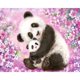thumbnail image 1 of 5D DIY diamante pintura padre hijo Panda taladro completo Rhinestone mosaico arte Kit FLhrweasw Nuevo, 1 of 1