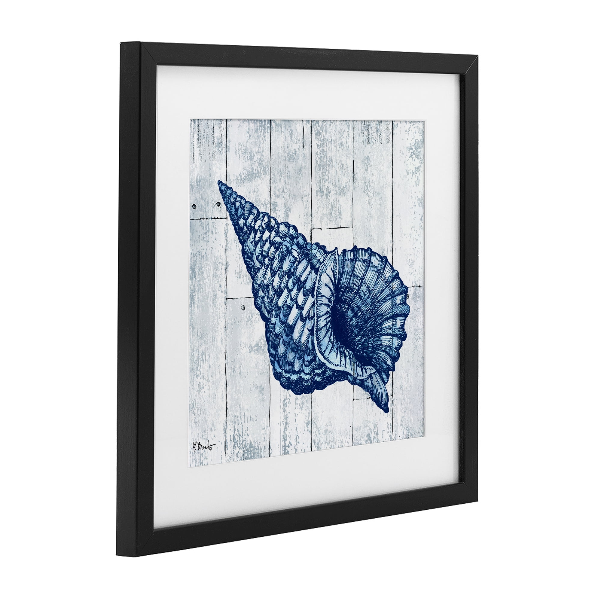 Stupell Industries Coastal Timberland Conch Black Framed Print Under Glass, design by Paul Brent