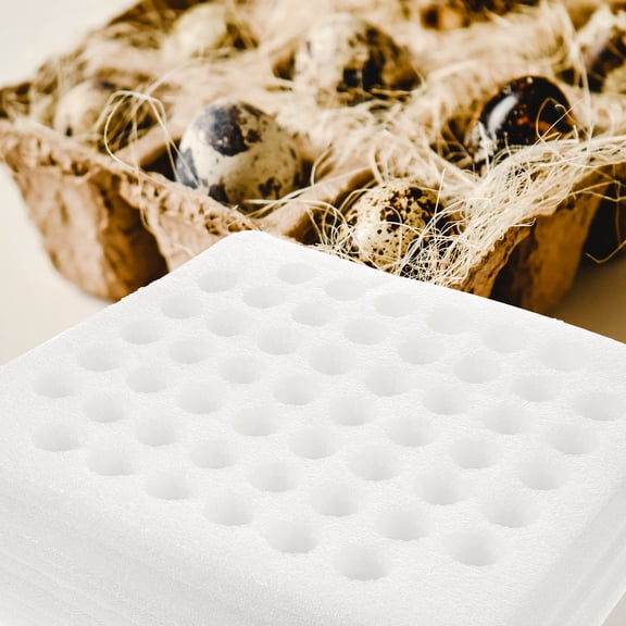 WRITWAA Quail Egg Storage Container with Wool Material for Home 2Sets