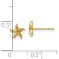 thumbnail image 2 of 14K Yellow Gold Madi K Starfish Post Earrings (6.36 X 6.36) Made In Vietnam se3017, 2 of 5