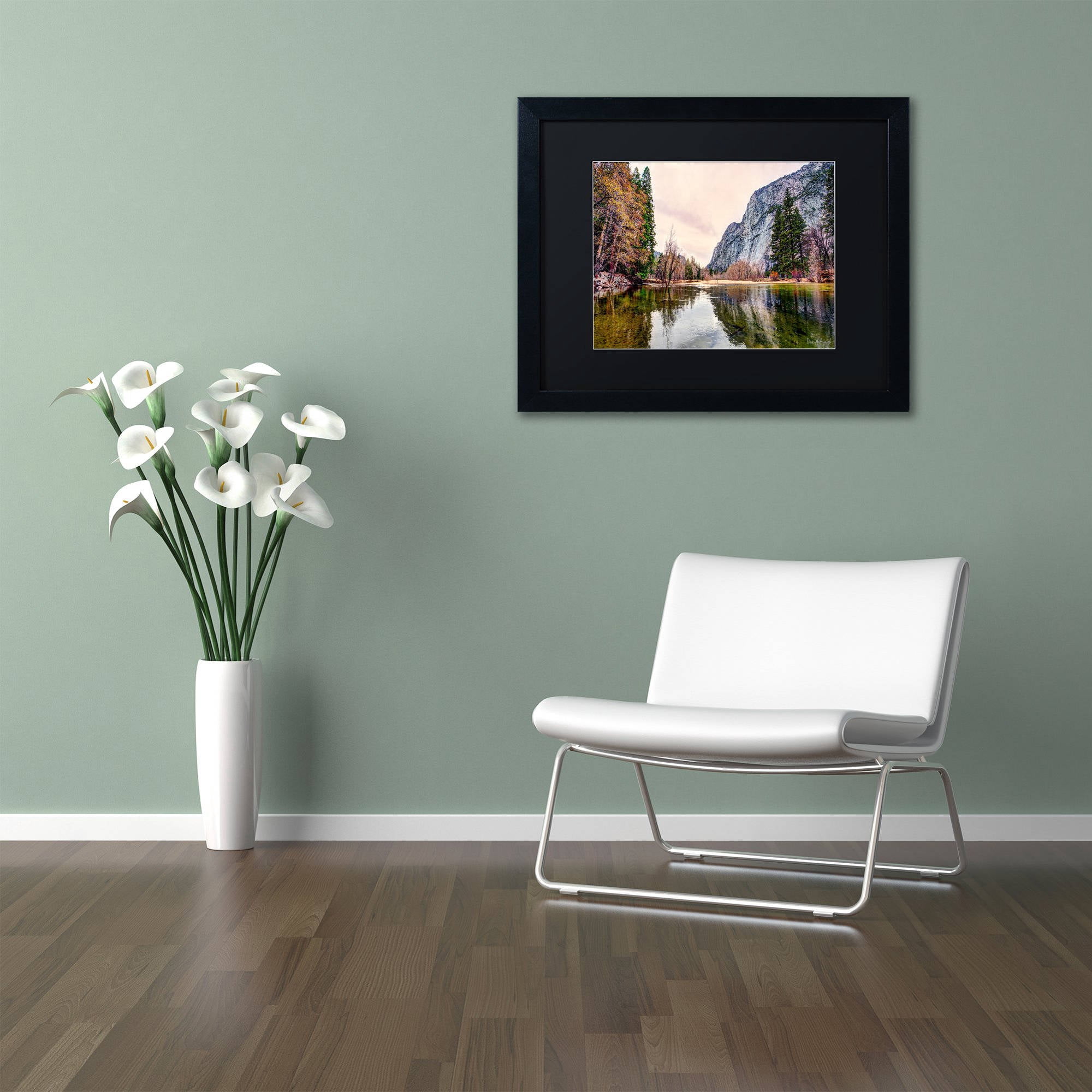 Trademark Fine Art "Yosemite Valley" Canvas Art by David Ayash Black Matte, Black Frame