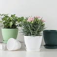 thumbnail image 5 of Plastic Planter Pots for Plants, 5 Pack 6 Inch Flower Pots with Drainage Holes and Saucers, for Indoor Outdoor D, 5 of 5
