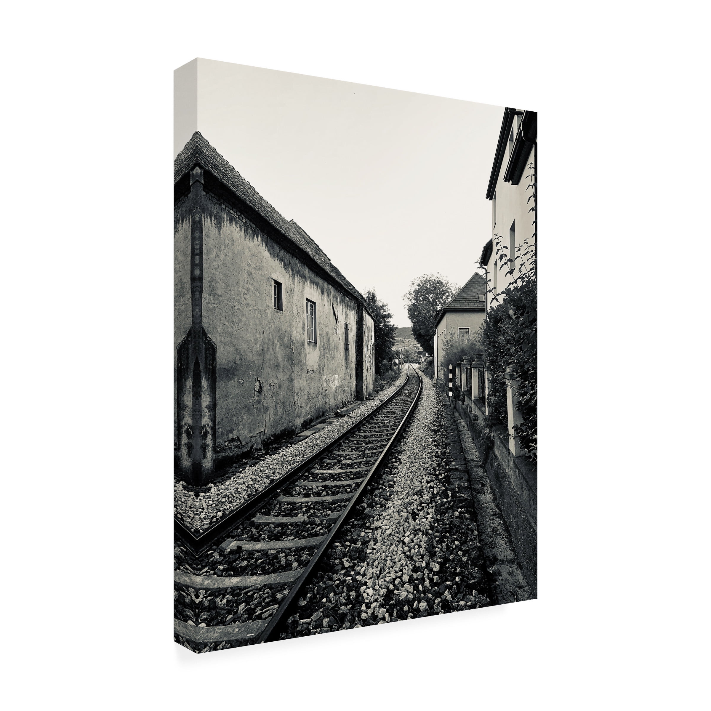 Susan Vizvary Photography 'Train Tracks in Black and White' Canvas Art