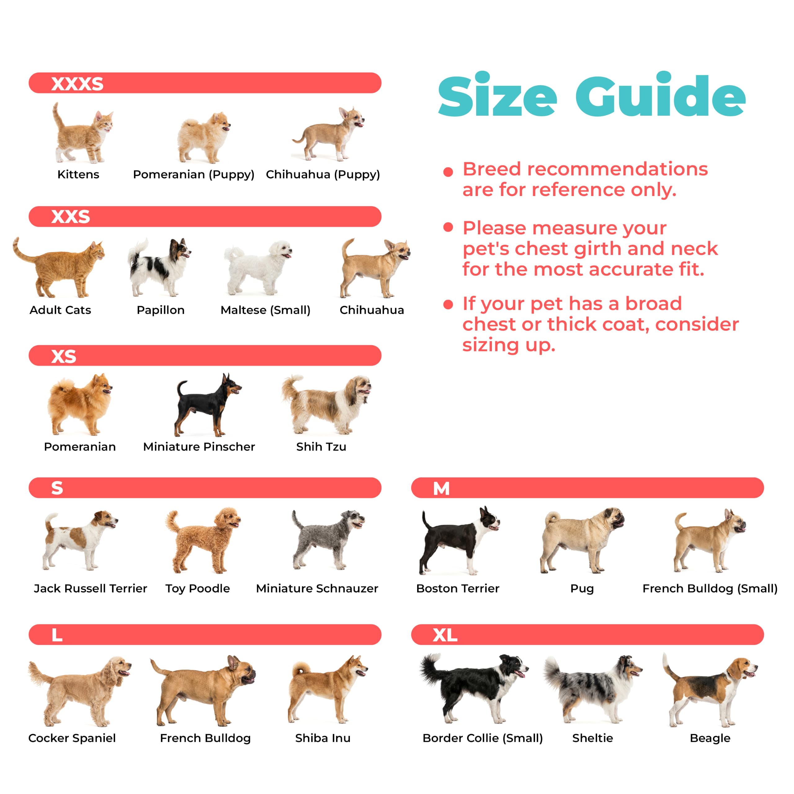 Voyager Step-In Air Mesh Dog Harness photo 7