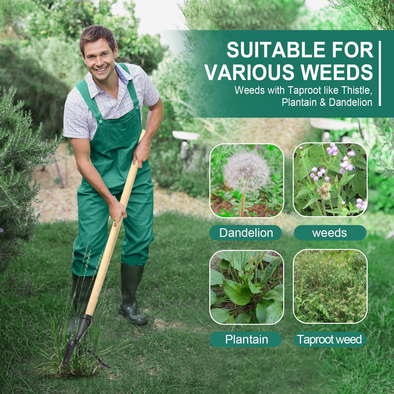 Stand up Weed Puller Tool Heavy Duty Weeding Tool with Long Wooden Handle and 4-Claw Steel Head