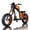 Gold, variant on BIGNIU BG-X Electric Bike for Adults,1500W Brushless Motor 48V/31.5Ah Up to 40 Miles E-Bike Front/Rear Turn Signal Dual Suspension Ebikes UL2849