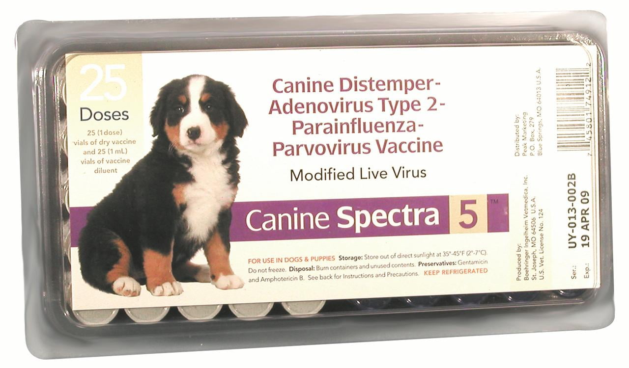 spectra 9 vaccine near me spectra 9 vaccine near me
