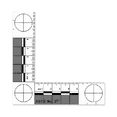 thumbnail image 1 of Abfo No. 2 Bitemark Scale, 1 of 3
