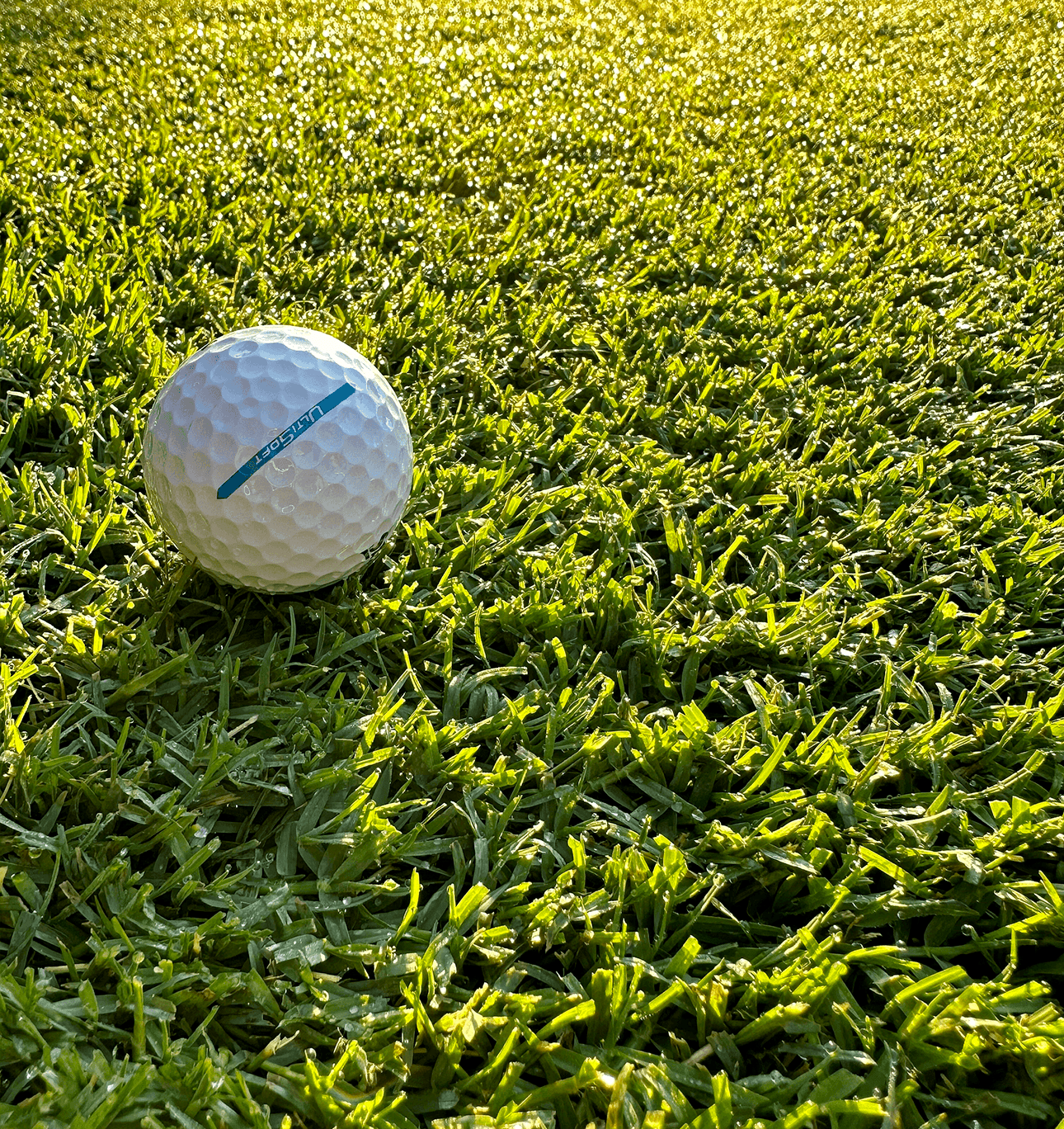 The Andersons Rio Bermuda Premium Grass Seed - 2lbs