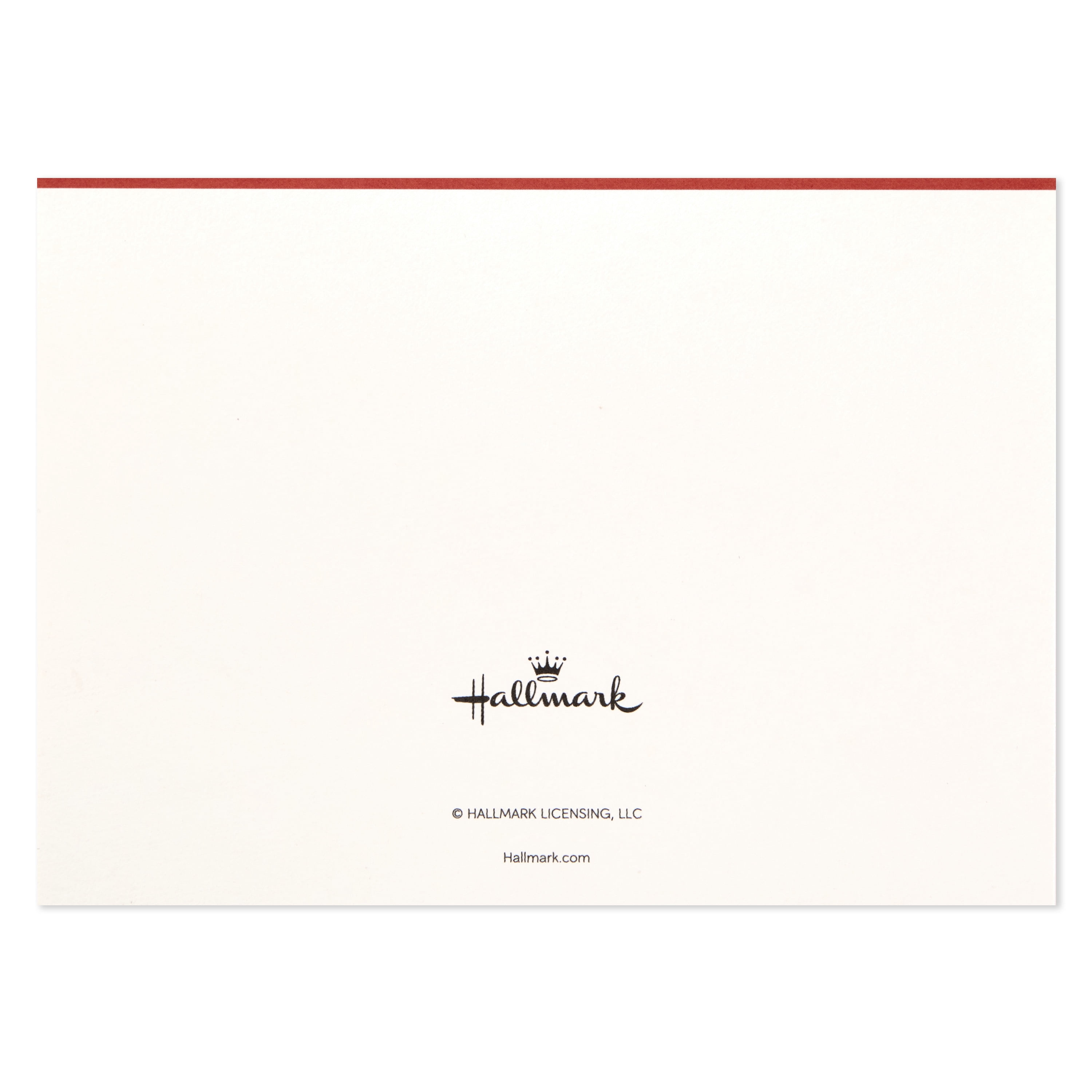 Hallmark Thank You Notes (Pink Flowers, 50 Cards and Envelopes)