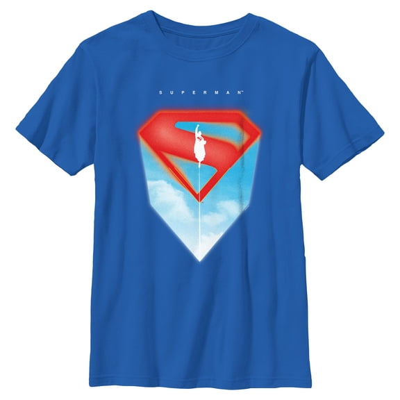 Boys Superman Sky Logo T Shirt