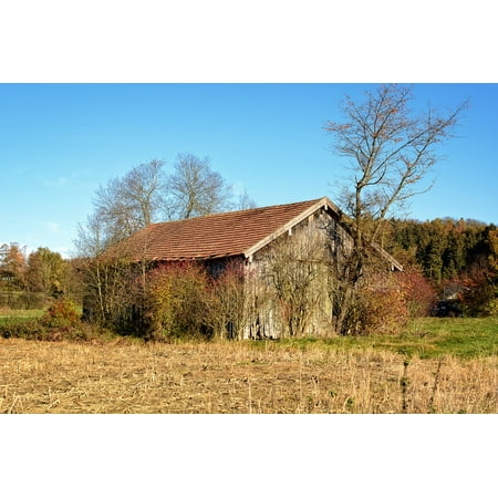 Laminated Poster Scale Old Barn Nature Log Cabin Scheuer Wood Hut