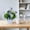 Blue-BU, variant on MMJ Artificial Flowers Small Potted Plant 7.1x4.7x3.1in Faux Foliage in Fence Planter for Desk Shelf