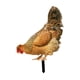 thumbnail image 2 of Estatuilla de jardín Zulema gallina acrílica Estilo B 25 cm, 2 of 8