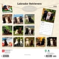 thumbnail image 2 of Labrador Retrievers 2026 Square Flap, 2 of 3
