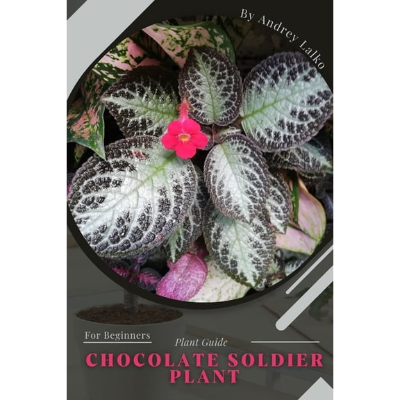 Chocolate Soldier Plant: Plant Guide, (Paperback)