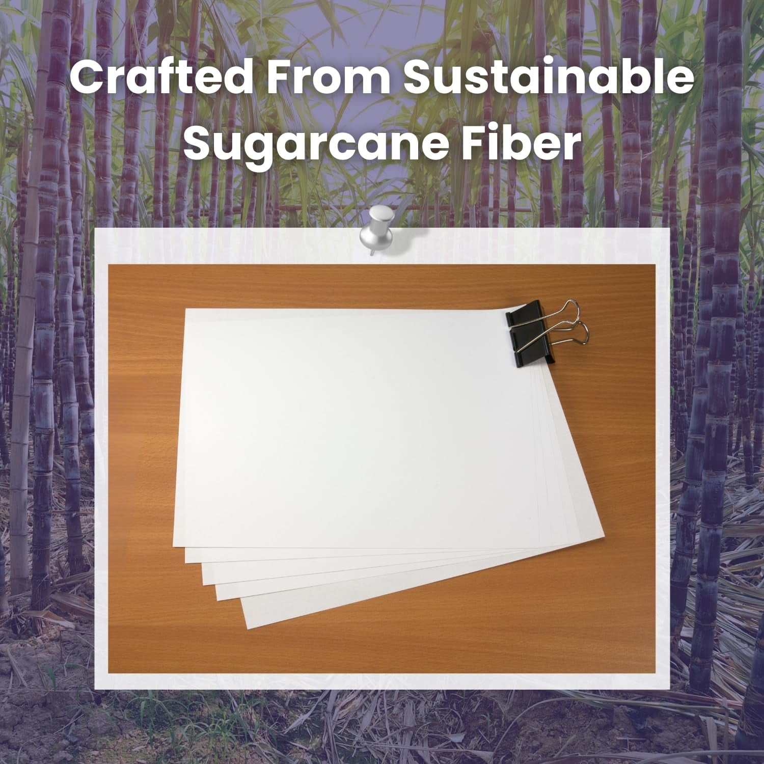 Executive Multipurpose Copy Printer Paper - Size 8.5” x 11”, 20lb - Sugarcane Fiber, 92 Bright White Paper, Ideal for All Office & Photocopy Printers & Designs (10 Reams)
