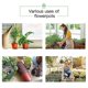 thumbnail image 3 of 100 macetas de plástico para vivero LIUYMXG 4 pulgadas reutilizables, 3 of 5