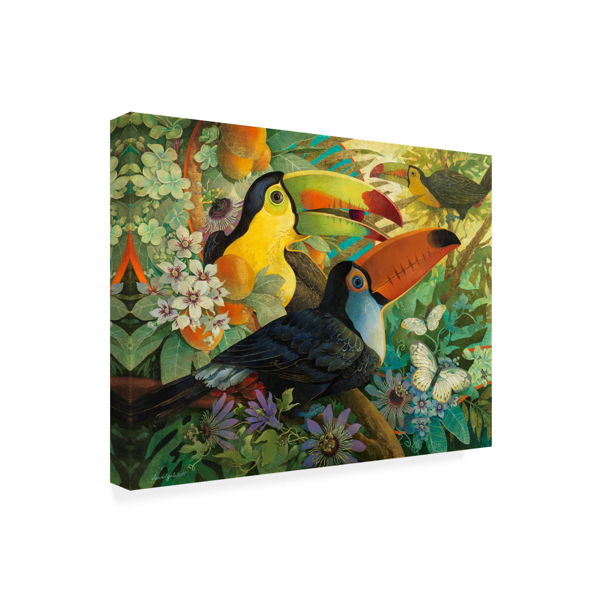 Trademark Fine Art 'Interlude Toucans' Canvas Art by David Galchutt