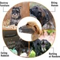 thumbnail image 2 of Máscara de nailon suave para perros (gris, mediana): máscara de malla transpirable ajustable, máscara para perros, antimordeduras, antiladridos y antilamidos, 2 of 4