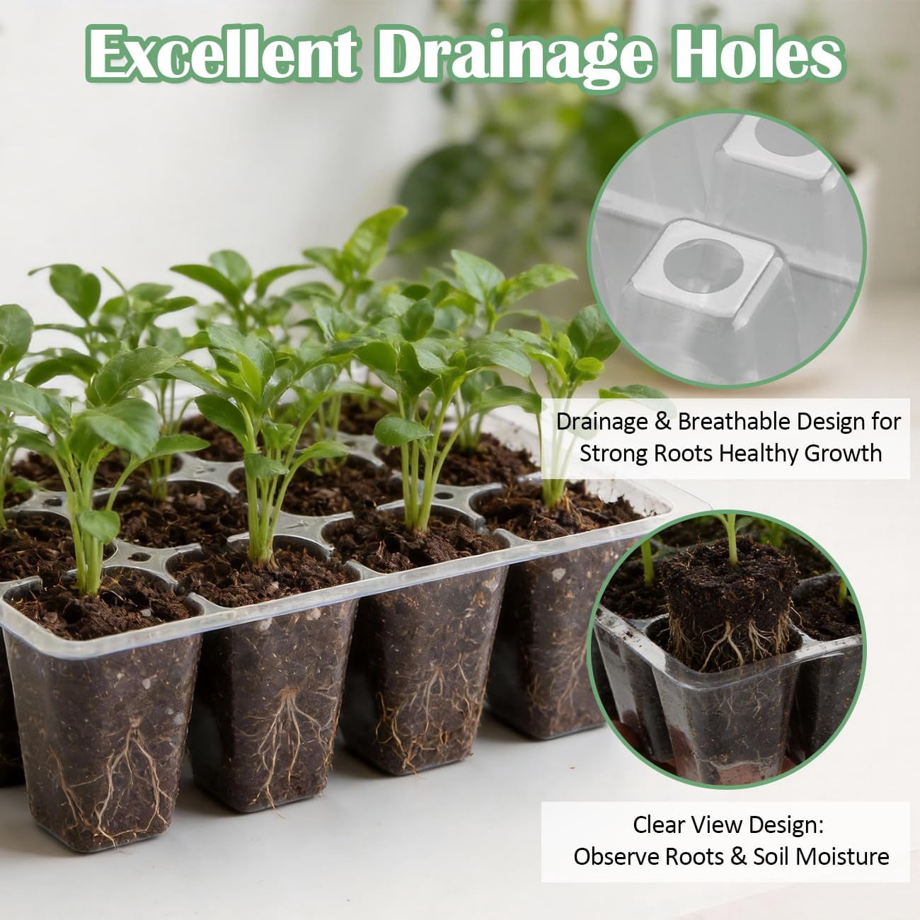 60 Pack Reusable 12-Cell Seed Starter Tray, Plant Starter Trays with Large Drainage Holes for Seed Germination, Easy to Repotted, Fits Standard 1020 Flats and Trays, Black