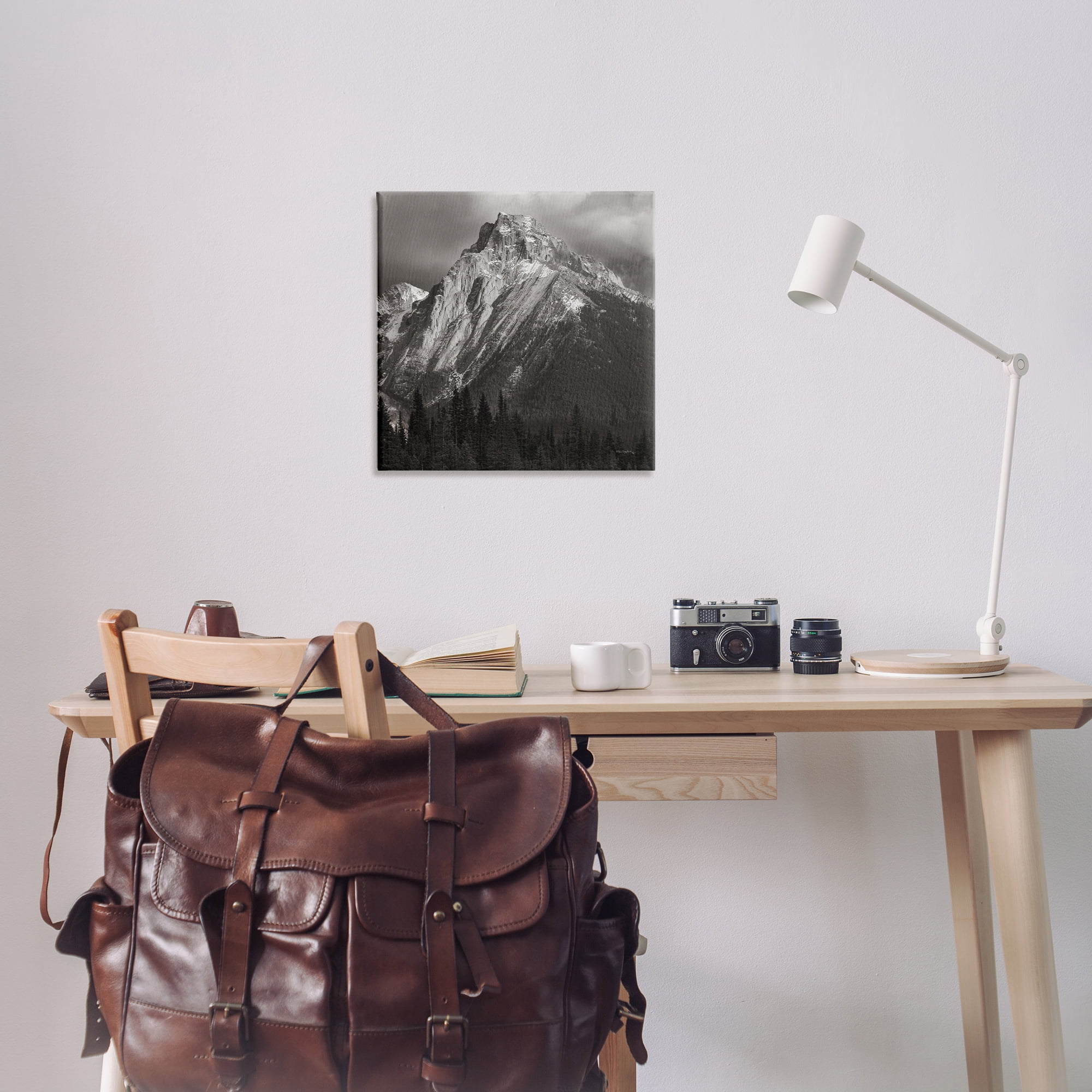 Stupell Industries Canadian Rockies View Landscape & Nature Photography Wrapped Canvas Art Print Wall Art, 24 x 24