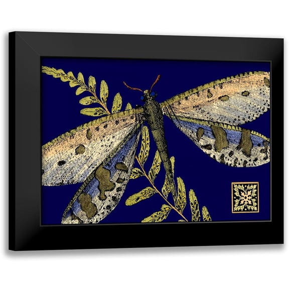 Vision Studio 14x11 Black Modern Framed Museum Art Print Titled - Mini Shimmering Dragonfly III