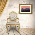 thumbnail image 3 of Illg, Cathy and Gordon 24x17 Gold Ornate Wood Framed with Double Matting Museum Art Print Titled - AZ, Saguaro NP, Sonoran Desert Saguaro forest, 3 of 4