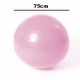 thumbnail image 2 of Exercise Ball Extra Thick Professional Grade Balance & Stability Ball- Includes Hand Pump, 2 of 5