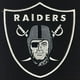 Bannière 49158 Oakland Raiders Homme Grotte de Victoires Stries – image 3 sur 3