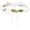 White, variant on Flower Crown Floral Headband for Women & Girls Renaissance Crown for Wedding Bride Hair Accessories Birthday Headpiece ()