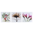 thumbnail image 1 of Pintura sin marco, 3 piezas de flores, pintura de pared, pintura decorativa, obra de arte, muy recomendable, 1 of 8