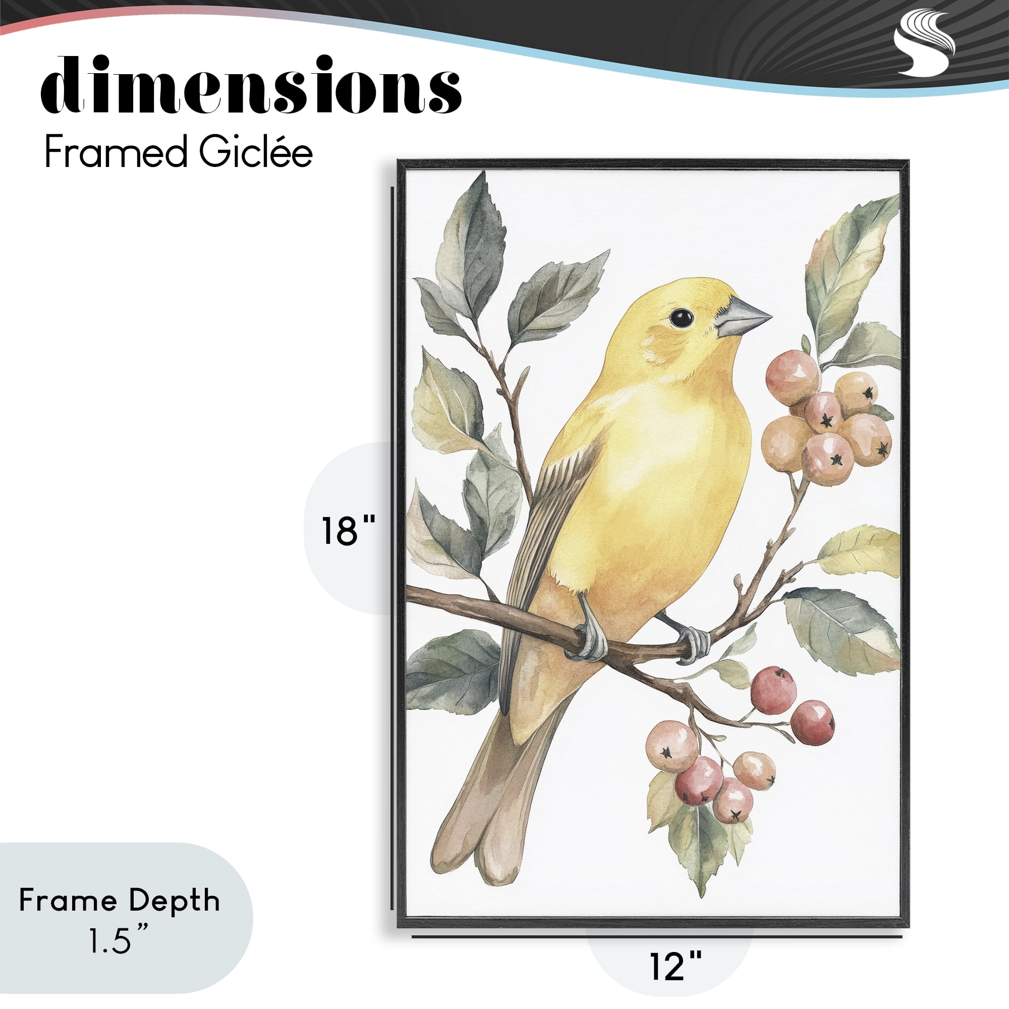 Stupell Industries Sun Lit Bird on Branch Black Framed Giclee Art, design by Petal Prints Design