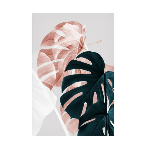 Trademark Fine Art Pictufy Studio Monstera Creative 09 Canvas Wall Art