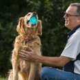 thumbnail image 3 of BotaniNest High Elastic TPR Squeaky Dog Toy For Chewing Floating Water Play And Care Perfect For Aggressive Chewers, 3 of 4