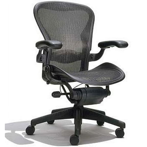 Herman Miller Lumbar Support and Height Adjustment Office Desk Chair, Gray