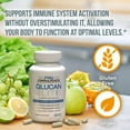 thumbnail image 5 of Glucan Elite – 85% Beta 1,3D Glucan 500mg | 85% Minimum Active 1,3 Linkage Ultra-Potency Beta Glucan – Highest Bioavailability with BGF-Immune | Pack of 3 (180 total veggie caps), 5 of 6