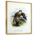 thumbnail image 3 of Designart 'Ancient Bird Life VIII' Traditional Framed Canvas Wall Art Print, 3 of 5