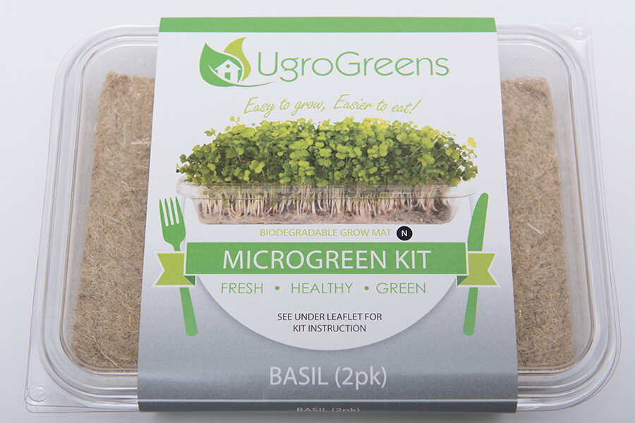 Basil Microgreen Grow Kit Walmart Canada