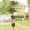 A, variant on Chain Wind Chimes for Outdoor Garden Hanging Decor,Metal Leaf Rain Chain Wind Chime with Flower Cups for Gutters Wall Art,Unique Garden Gift for Mom Grandma Women Her Sister