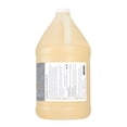 thumbnail image 4 of Soothing Touch W67356G Frag Free Lite Oil 1 Gallon, 4 of 4