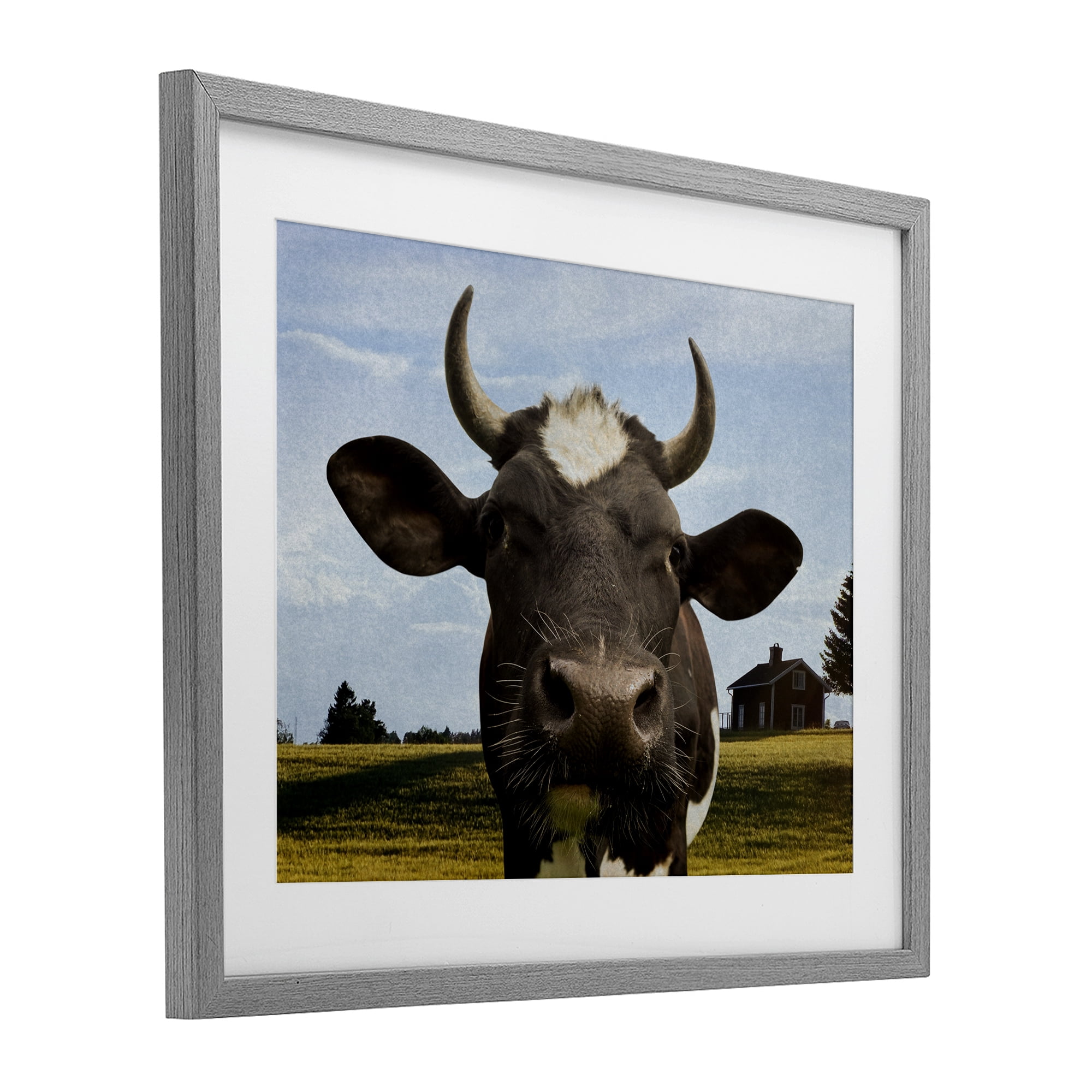 Stupell Industries Farm Cow with Curved Horns Gray Framed Print Under Glass, design by Marcus Prime