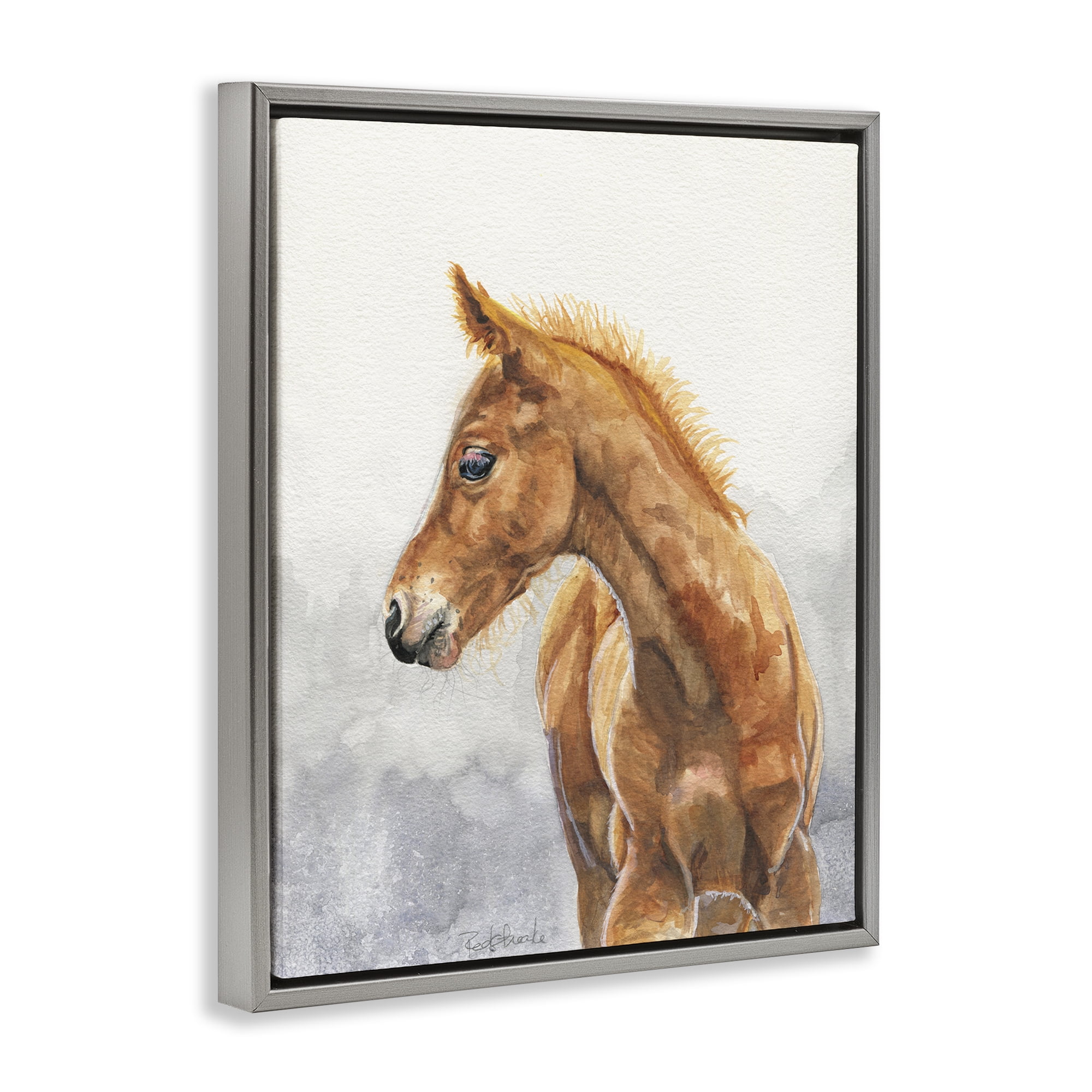 Stupell Industries Watercolor Brown Foal Animals Painting Gray Floater Framed Canvas Art Print Wall Art, 25 x 31