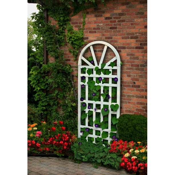 Vita 25 L X 61 H Hamilton Vinyl Trellis White Va68206 1 Com Vita 25 L X 61 H Hamilton Vinyl Trellis, White Vinyl Garden Trellis