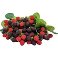 thumbnail image 1 of Tundralight 4 Pcs Framboise Artificielle, Fraise Rouge, Faux Fruit, Accessoires de Décoration de Table (Rouge avec Noir), 1 of 5